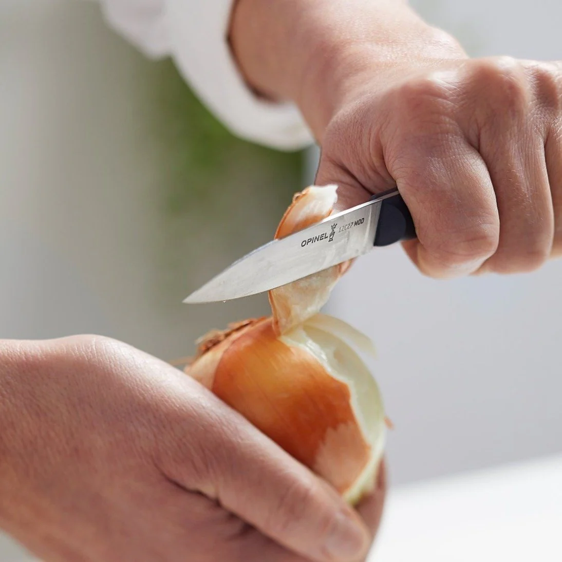 Opinel Intempora 3" Paring Knife - Image 2